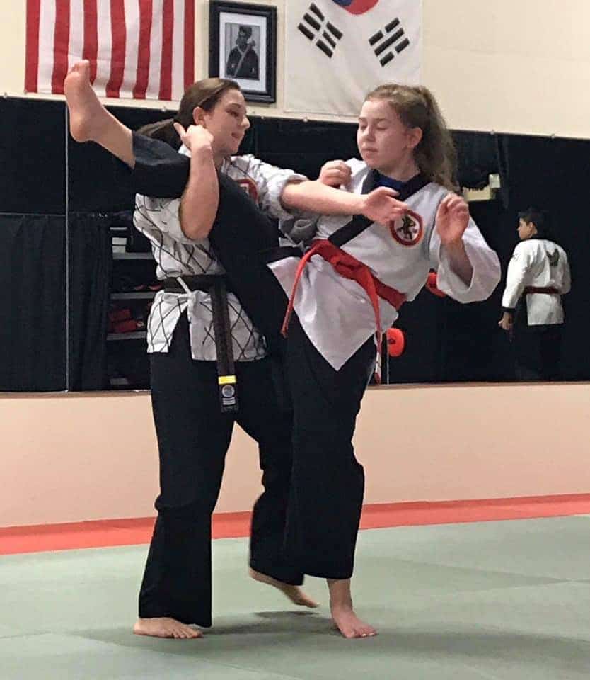 The Martial Instinct Self-Defense Young Adult Hapkido 