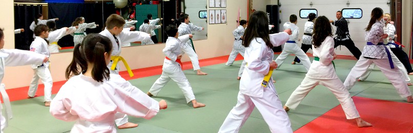 The Martial Instinct Self-Defense Gallery Photo Number 4