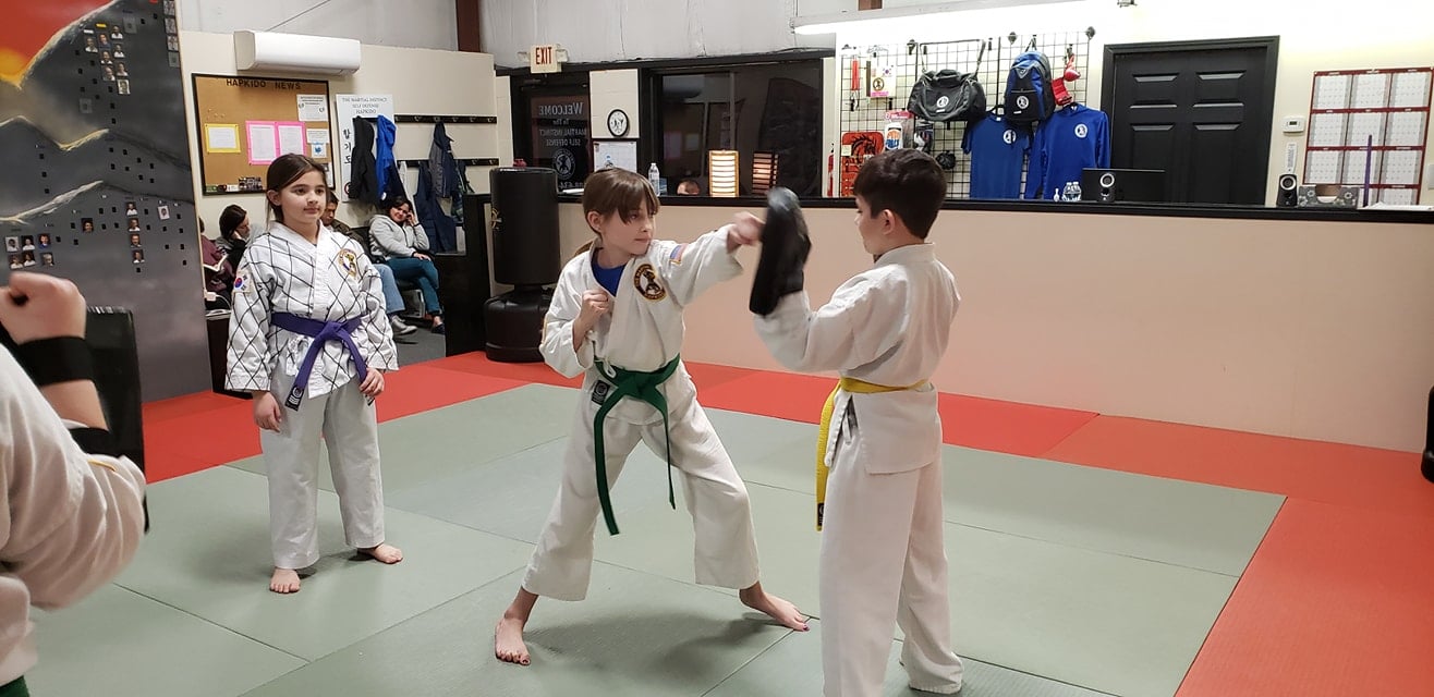 The Martial Instinct Self-Defense Gallery Photo Number 19